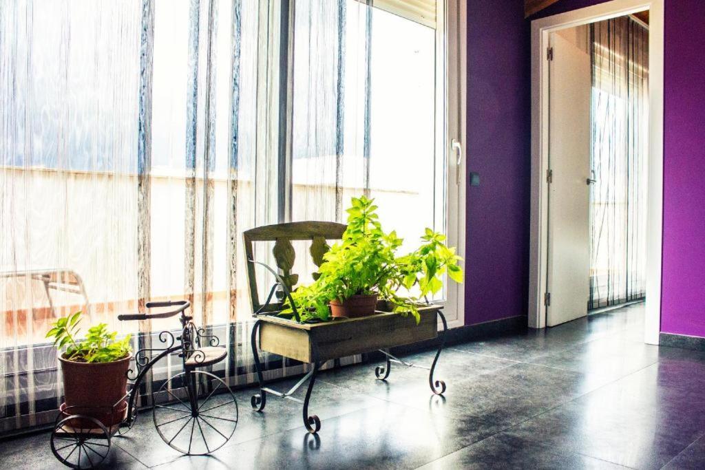 Apartamento Con Estilo Y Acogedor Sant Mateu Extérieur photo